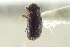  ( - CNC COLEO 00138842)  @11 [ ] CreativeCommons - Attribution (2012) CNC/CBG Photography Group Centre for Biodiversity Genomics