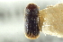  ( - CNC COLEO 00138853)  @11 [ ] CreativeCommons - Attribution (2012) CNC/CBG Photography Group Centre for Biodiversity Genomics