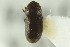  ( - CNC COLEO 00138880)  @11 [ ] CreativeCommons - Attribution (2012) CNC/CBG Photography Group Centre for Biodiversity Genomics