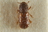  ( - CNC COLEO 00138958)  @11 [ ] CreativeCommons - Attribution (2012) CNC/CBG Photography Group Centre for Biodiversity Genomics