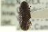  ( - CNC COLEO 00139069)  @12 [ ] CreativeCommons - Attribution (2012) CNC/CBG Photography Group Centre for Biodiversity Genomics