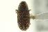  ( - CNC COLEO 00139157)  @11 [ ] CreativeCommons - Attribution (2012) CNC/CBG Photography Group Centre for Biodiversity Genomics
