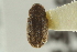  ( - CNC COLEO 00139170)  @11 [ ] CreativeCommons - Attribution (2012) CNC/CBG Photography Group Centre for Biodiversity Genomics