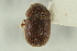  ( - CNC COLEO 00139198)  @11 [ ] CreativeCommons - Attribution (2012) CNC/CBG Photography Group Centre for Biodiversity Genomics