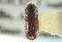  ( - CNC COLEO 00139253)  @11 [ ] CreativeCommons - Attribution (2012) CNC/CBG Photography Group Centre for Biodiversity Genomics