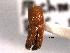 ( - CNC COLEO 00155690)  @11 [ ] CreativeCommons - Attribution (2012) CNC/CBG Photography Group Centre for Biodiversity Genomics