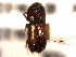  ( - CNC COLEO 00155707)  @11 [ ] CreativeCommons - Attribution (2012) CNC/CBG Photography Group Centre for Biodiversity Genomics