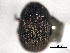  ( - CNC COLEO 00155883)  @11 [ ] CreativeCommons - Attribution (2012) CNC/CBG Photography Group Centre for Biodiversity Genomics