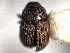  ( - CNC COLEO 00155891)  @11 [ ] CreativeCommons - Attribution (2012) CNC/CBG Photography Group Centre for Biodiversity Genomics