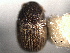  ( - CNC COLEO 00155892)  @11 [ ] CreativeCommons - Attribution (2012) CNC/CBG Photography Group Centre for Biodiversity Genomics