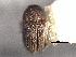  ( - CNC COLEO 00155900)  @11 [ ] CreativeCommons - Attribution (2012) CNC/CBG Photography Group Centre for Biodiversity Genomics