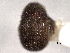  ( - CNC COLEO 00155909)  @11 [ ] CreativeCommons - Attribution (2012) CNC/CBG Photography Group Centre for Biodiversity Genomics