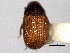  ( - CNC COLEO 00155980)  @11 [ ] CreativeCommons - Attribution (2012) CNC/CBG Photography Group Centre for Biodiversity Genomics