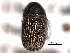  ( - CNC COLEO 00155988)  @11 [ ] CreativeCommons - Attribution (2012) CNC/CBG Photography Group Centre for Biodiversity Genomics