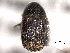  ( - CNC COLEO 00155989)  @11 [ ] CreativeCommons - Attribution (2012) CNC/CBG Photography Group Centre for Biodiversity Genomics