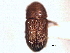  ( - CNC COLEO 00156023)  @11 [ ] CreativeCommons - Attribution (2012) CNC/CBG Photography Group Centre for Biodiversity Genomics