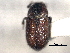  ( - CNC COLEO 00156045)  @11 [ ] CreativeCommons - Attribution (2012) CNC/CBG Photography Group Centre for Biodiversity Genomics