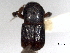  ( - CNC COLEO 00156119)  @11 [ ] CreativeCommons - Attribution (2012) CNC/CBG Photography Group Centre for Biodiversity Genomics