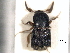 ( - CNC COLEO 00156122)  @11 [ ] CreativeCommons - Attribution (2012) CNC/CBG Photography Group Centre for Biodiversity Genomics