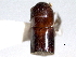  ( - CNC COLEO 00156131)  @11 [ ] CreativeCommons - Attribution (2012) CNC/CBG Photography Group Centre for Biodiversity Genomics