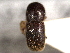  (Cyclorhipidion sus - CNC COLEO 00156157)  @11 [ ] CreativeCommons - Attribution (2012) CNC/CBG Photography Group Centre for Biodiversity Genomics