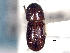  ( - CNC COLEO 00156290)  @11 [ ] CreativeCommons - Attribution (2012) CNC/CBG Photography Group Centre for Biodiversity Genomics