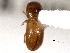  ( - CNC COLEO 00156304)  @11 [ ] CreativeCommons - Attribution (2012) CNC/CBG Photography Group Centre for Biodiversity Genomics
