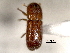  ( - CNC COLEO 00156309)  @11 [ ] CreativeCommons - Attribution (2012) CNC/CBG Photography Group Centre for Biodiversity Genomics