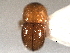  ( - CNC COLEO 00156343)  @11 [ ] CreativeCommons - Attribution (2012) CNC/CBG Photography Group Centre for Biodiversity Genomics
