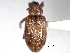  ( - CNC COLEO 00157068)  @11 [ ] CreativeCommons - Attribution (2012) CNC/CBG Photography Group Centre for Biodiversity Genomics