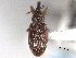  ( - CNC COLEO 00157074)  @11 [ ] CreativeCommons - Attribution (2012) CNC/CBG Photography Group Centre for Biodiversity Genomics
