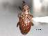  ( - CNC COLEO 00157113)  @11 [ ] CreativeCommons - Attribution (2012) CNC/CBG Photography Group Centre for Biodiversity Genomics
