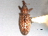  ( - CNC COLEO 00157115)  @11 [ ] CreativeCommons - Attribution (2012) CNC/CBG Photography Group Centre for Biodiversity Genomics