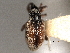  ( - CNC COLEO 00157281)  @12 [ ] CreativeCommons - Attribution (2012) CNC/CBG Photography Group Centre for Biodiversity Genomics