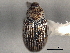  ( - CNC COLEO 00157335)  @11 [ ] CreativeCommons - Attribution (2012) CNC/CBG Photography Group Centre for Biodiversity Genomics