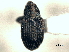  ( - CNC COLEO 00157338)  @11 [ ] CreativeCommons - Attribution (2012) CNC/CBG Photography Group Centre for Biodiversity Genomics