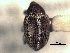  ( - CNC COLEO 00157340)  @11 [ ] CreativeCommons - Attribution (2012) CNC/CBG Photography Group Centre for Biodiversity Genomics