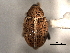  ( - CNC COLEO 00157342)  @11 [ ] CreativeCommons - Attribution (2012) CNC/CBG Photography Group Centre for Biodiversity Genomics