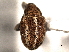  ( - CNC COLEO 00157343)  @11 [ ] CreativeCommons - Attribution (2012) CNC/CBG Photography Group Centre for Biodiversity Genomics