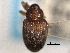  ( - CNC COLEO 00157391)  @11 [ ] CreativeCommons - Attribution (2012) CNC/CBG Photography Group Centre for Biodiversity Genomics