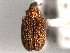  ( - CNC COLEO 00157395)  @11 [ ] CreativeCommons - Attribution (2012) CNC/CBG Photography Group Centre for Biodiversity Genomics