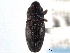  (Centrinogyna - CNC COLEO00157556)  @11 [ ] CreativeCommons - Attribution (2012) CNC/CBG Photography Group Centre for Biodiversity Genomics
