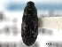  (Dirabius - CNC COLEO00157567)  @11 [ ] CreativeCommons - Attribution (2012) CNC/CBG Photography Group Centre for Biodiversity Genomics