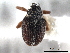 ( - CNC COLEO 00157605)  @11 [ ] CreativeCommons - Attribution (2012) CNC/CBG Photography Group Centre for Biodiversity Genomics