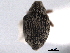  ( - CNC COLEO 00157636)  @11 [ ] CreativeCommons - Attribution (2012) CNC/CBG Photography Group Centre for Biodiversity Genomics
