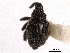 ( - CNC COLEO 00157638)  @11 [ ] CreativeCommons - Attribution (2012) CNC/CBG Photography Group Centre for Biodiversity Genomics