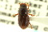  ( - CNC COLEO 00123299)  @11 [ ] CreativeCommons - Attribution (2011) CNC/CBG Photography Group Centre for Biodiversity Genomics