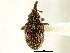  ( - CNC COLEO 00119257)  @11 [ ] CreativeCommons - Attribution (2011) CNC/CBG Photography Group Centre for Biodiversity Genomics