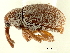  ( - CNC COLEO 00119273)  @11 [ ] CreativeCommons - Attribution (2011) CNC/CBG Photography Group Centre for Biodiversity Genomics
