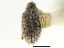  ( - CNC COLEO 00119279)  @11 [ ] CreativeCommons - Attribution (2011) CNC/CBG Photography Group Centre for Biodiversity Genomics